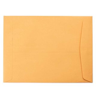 9 x 12 Catalog Envelope Brown Kraft