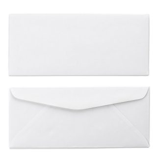 #10 Regular Tint Envelope